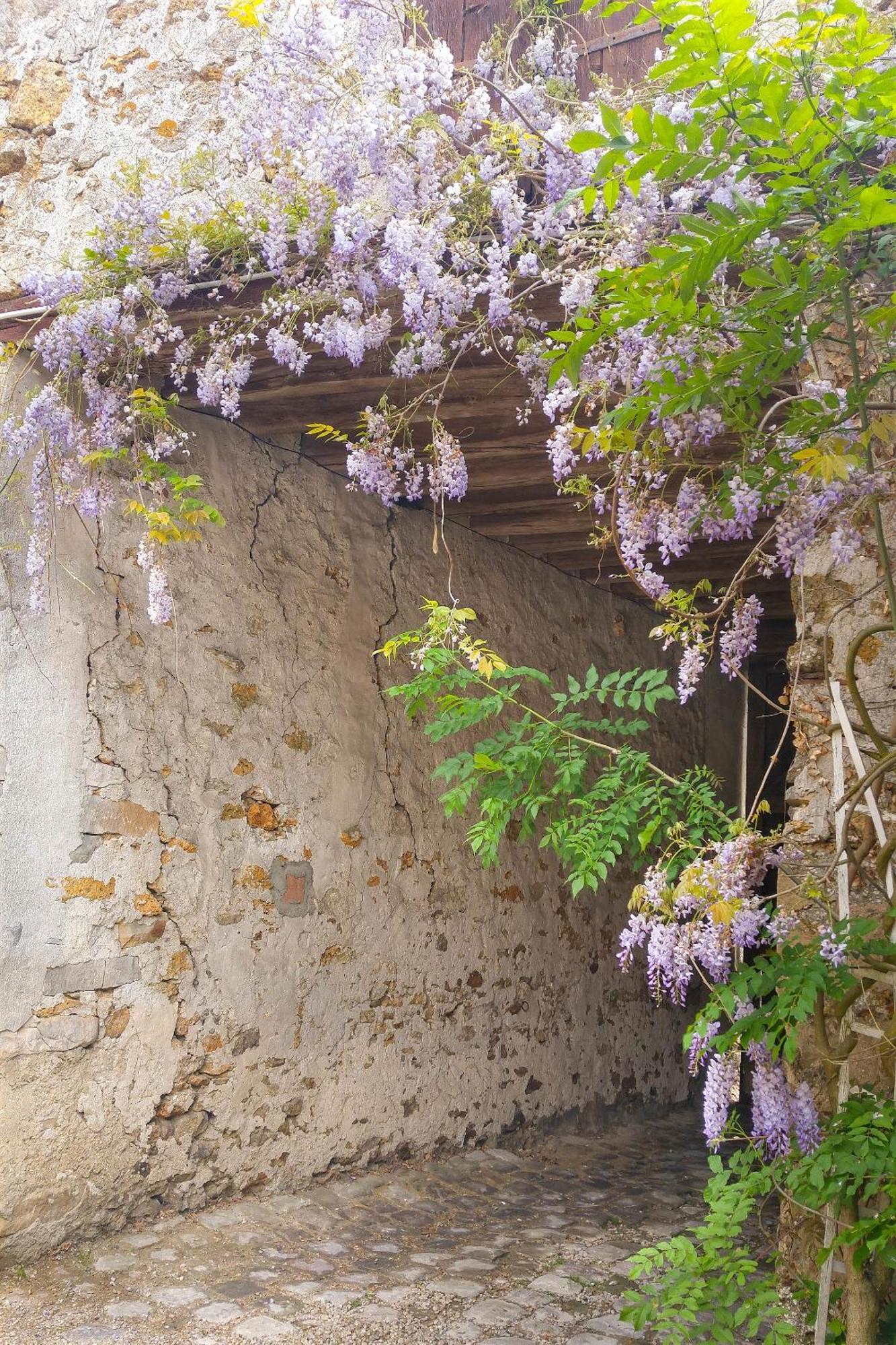 La Maison de Sophie, à longjumeau Esterno foto